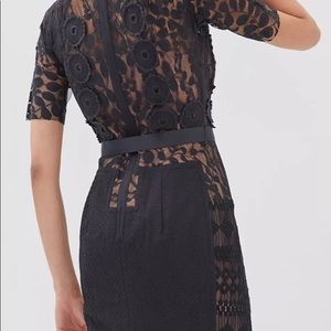Byron Lars Carrissima Sheath dress